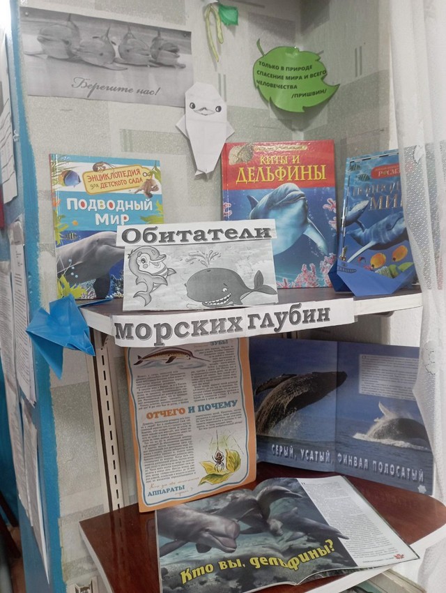 foto 2025 07 24 10 23 003